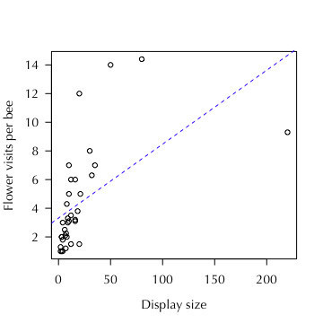 displaySize