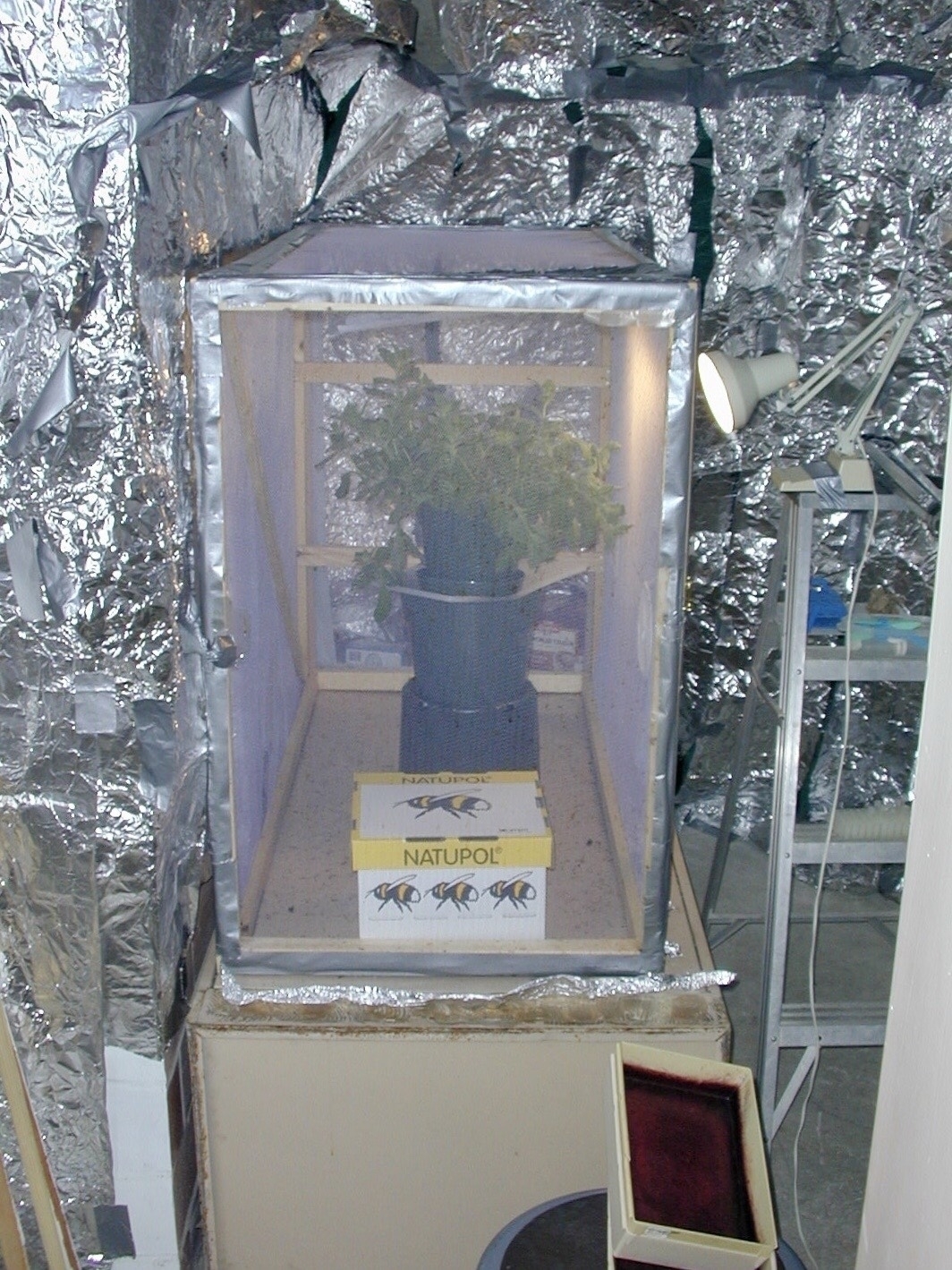 A room that is covered in tin foil with a bee hive inside a cage