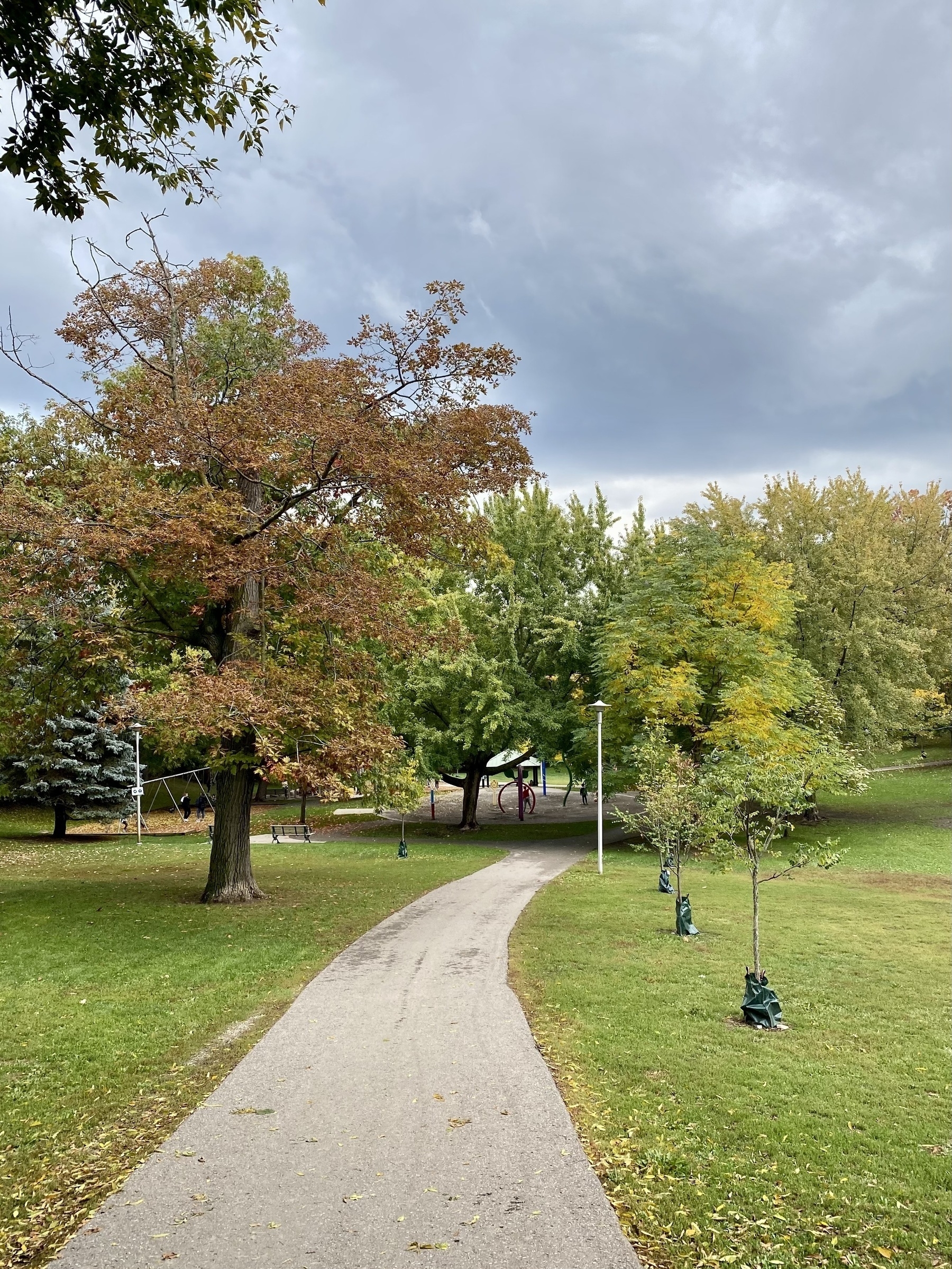 Path through a park with dark clouds