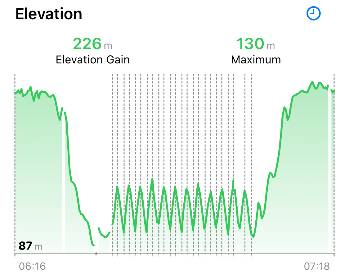 Elevation profile for the run. A big downhill, 12 small up and downs, and one big uphill