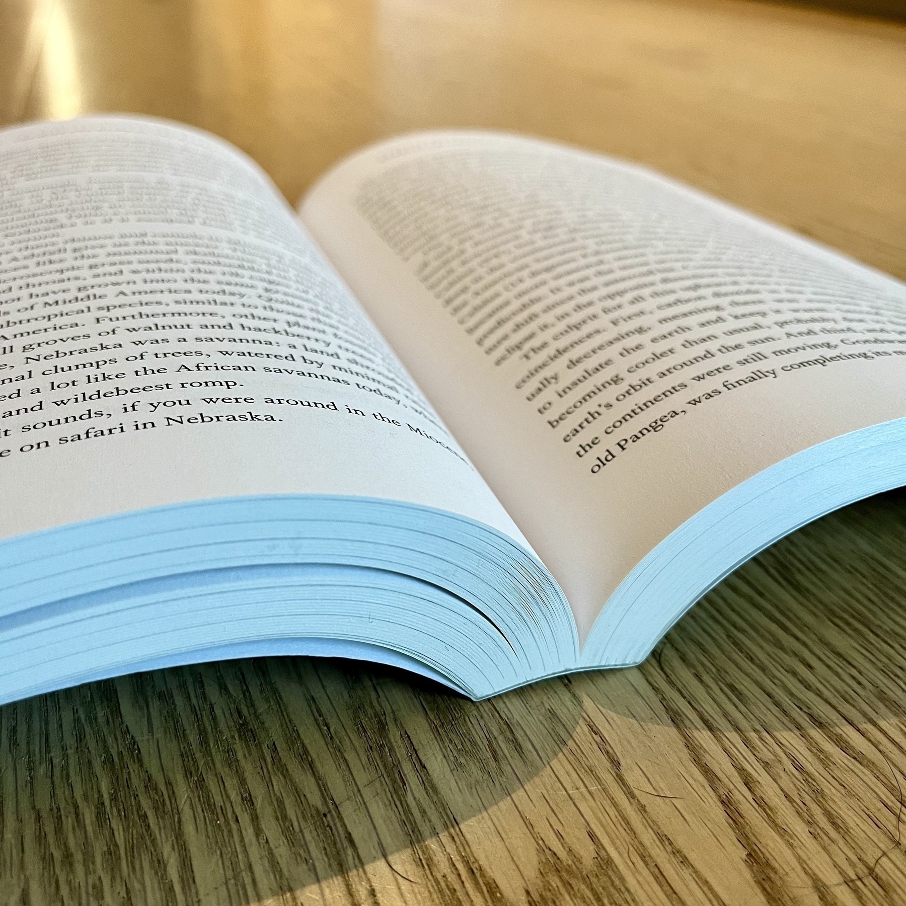 An open book with visible text rests on a wooden surface, lit by soft, natural light.